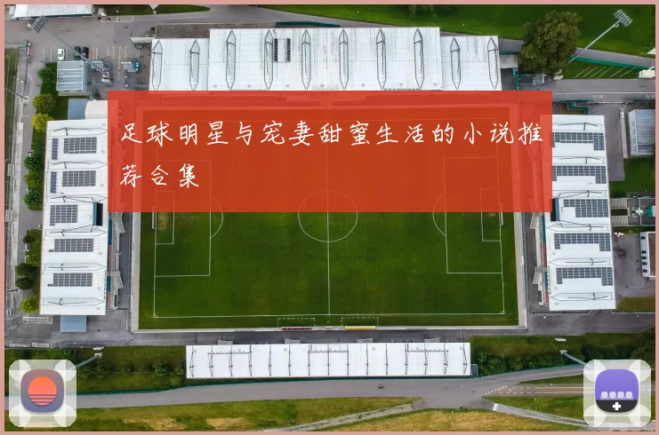 足球明星与宠妻甜蜜生活的小说推荐合集