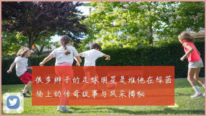 很多辫子的足球明星是谁他在绿茵场上的传奇故事与风采揭秘
