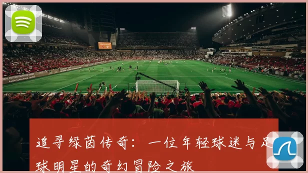 追寻绿茵传奇：一位年轻球迷与足球明星的奇幻冒险之旅