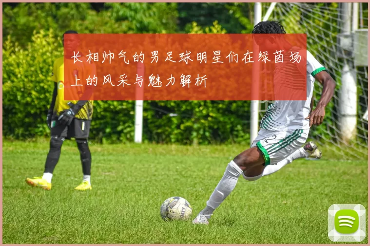 长相帅气的男足球明星们在绿茵场上的风采与魅力解析