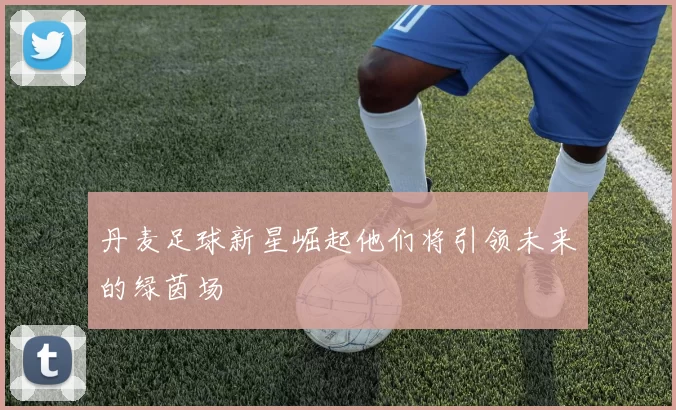 丹麦足球新星崛起他们将引领未来的绿茵场
