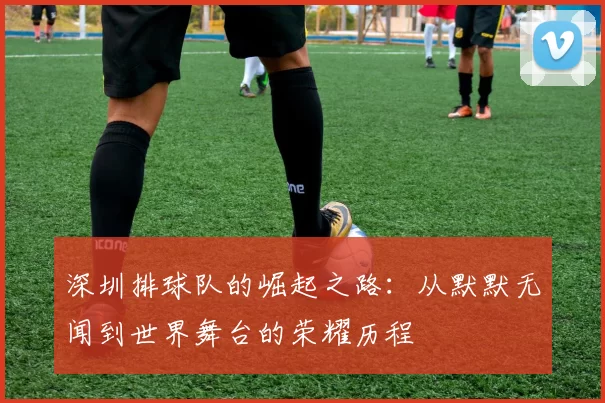 深圳排球队的崛起之路：从默默无闻到世界舞台的荣耀历程