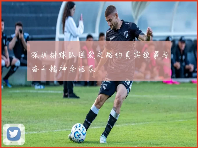 深圳排球队逆袭之路的真实故事与奋斗精神全记录