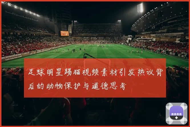 足球明星踢猫视频素材引发热议背后的动物保护与道德思考