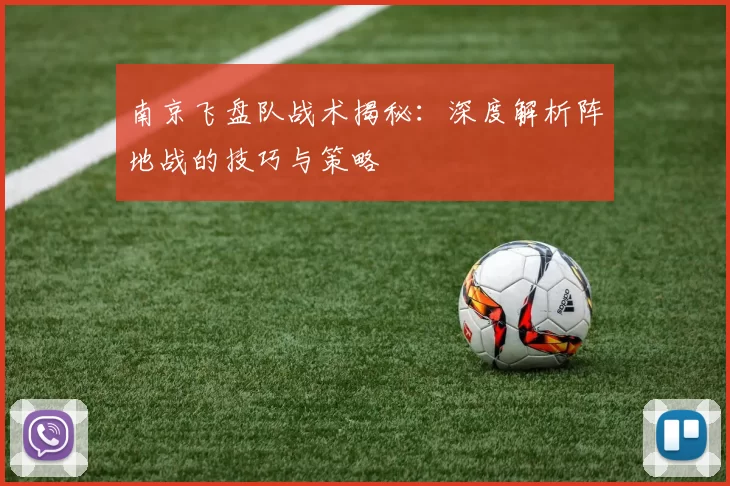 南京飞盘队战术揭秘：深度解析阵地战的技巧与策略