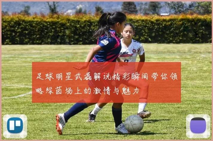 足球明星武磊解说精彩瞬间带你领略绿茵场上的激情与魅力
