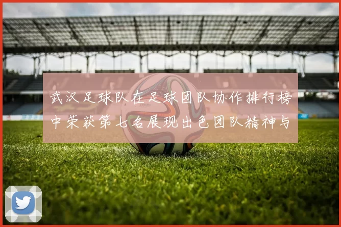 武汉足球队在足球团队协作排行榜中荣获第七名展现出色团队精神与实力