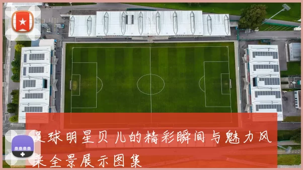 足球明星贝儿的精彩瞬间与魅力风采全景展示图集