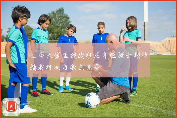 上海大鲨鱼迎战印尼年轻骑士期待精彩对决与激烈竞争