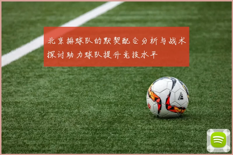 北京排球队的默契配合分析与战术探讨助力球队提升竞技水平