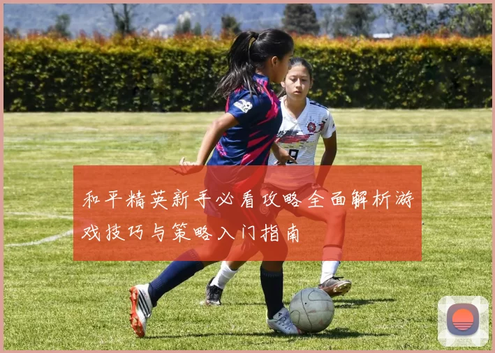 和平精英新手必看攻略全面解析游戏技巧与策略入门指南