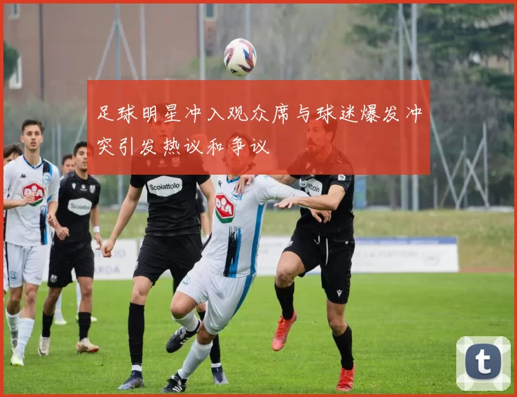 足球明星冲入观众席与球迷爆发冲突引发热议和争议