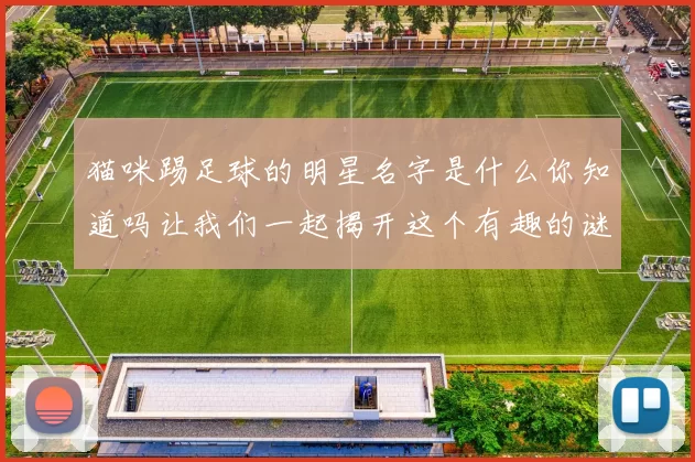 猫咪踢足球的明星名字是什么你知道吗让我们一起揭开这个有趣的谜团吧