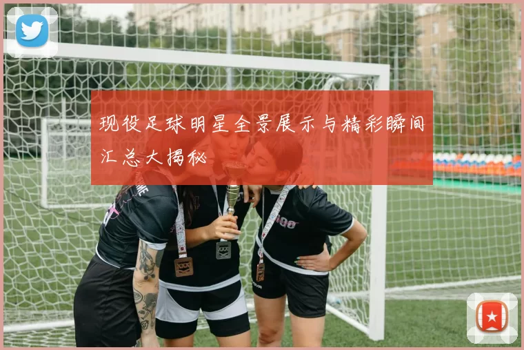 现役足球明星全景展示与精彩瞬间汇总大揭秘