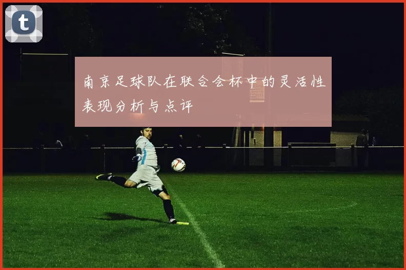 南京足球队在联合会杯中的灵活性表现分析与点评