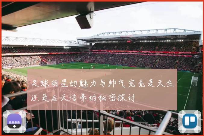 足球明星的魅力与帅气究竟是天生还是后天培养的秘密探讨