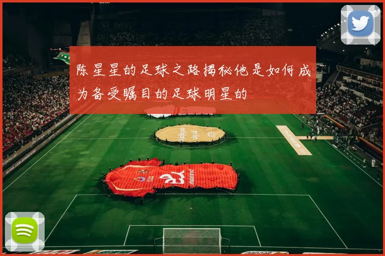 陈星星的足球之路揭秘他是如何成为备受瞩目的足球明星的