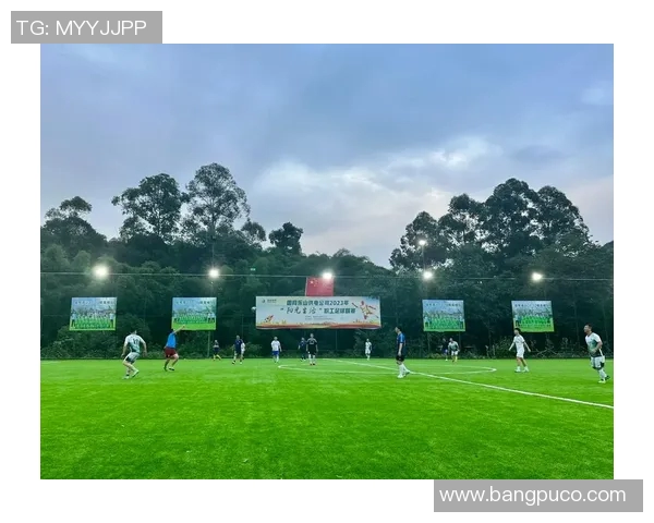 足球运动的魅力与全球发展趋势分析：从草根到职业化的转变与未来展望