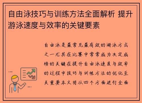 自由泳技巧与训练方法全面解析 提升游泳速度与效率的关键要素