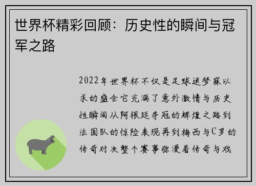 世界杯精彩回顾：历史性的瞬间与冠军之路